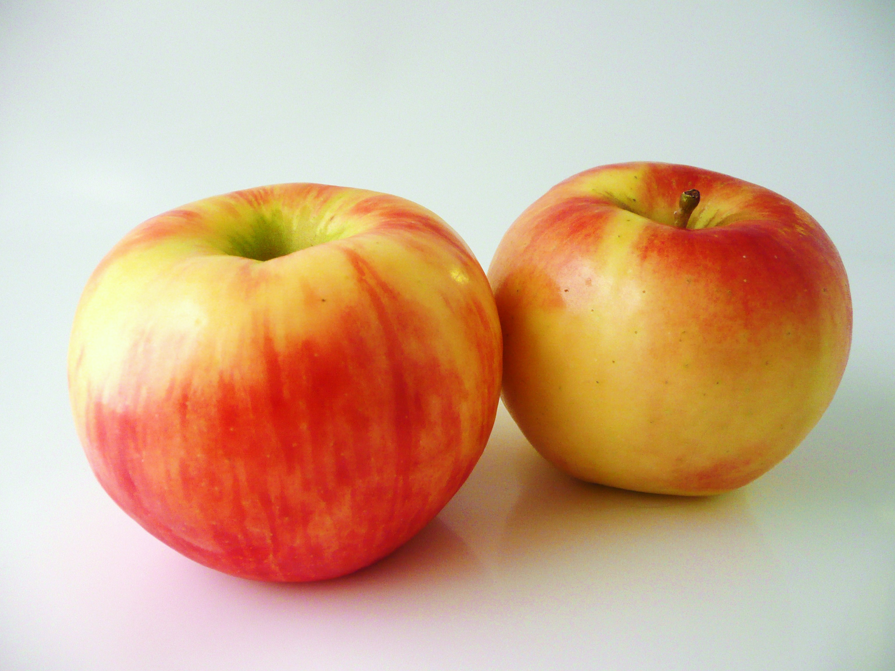 An apple to lure even the fallen: Honeycrisp – sue's news